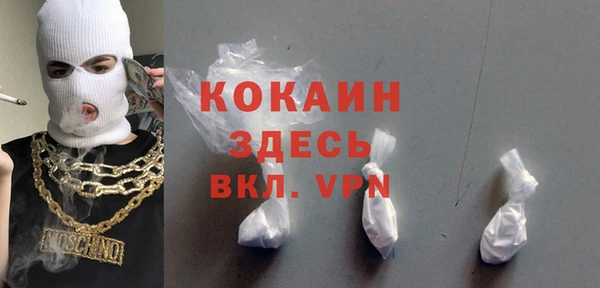МДПВ Инсар