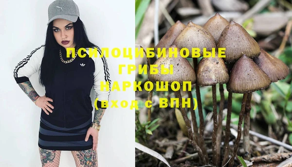 мет Каменка