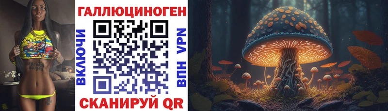 Псилоцибиновые грибы GOLDEN TEACHER где купить наркоту Крымск