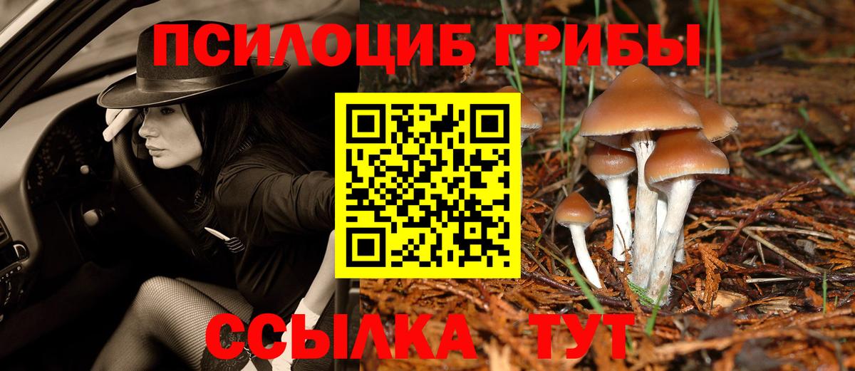 Галлюциногенные грибы прущие грибы Крымск